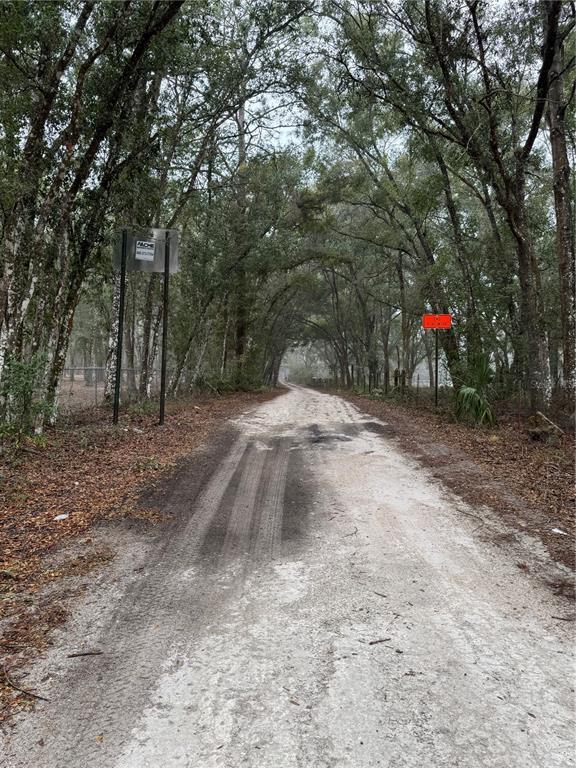 A dirt road winds through a canopy of trees with signs on both sides — 2795 SE 21ST AVENUE, SUMTERVILLE, FL