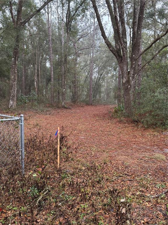 A wooded lot features a chain-link fence and a survey marker in the foreground — 2795 SE 21ST AVENUE, SUMTERVILLE, FL
