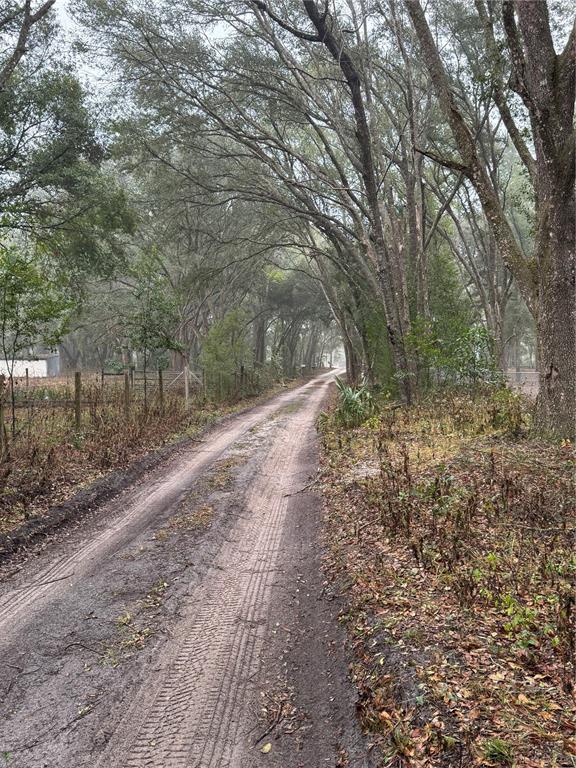 A dirt road winds through a wooded area with tall trees and a wire fence — 2795 SE 21ST AVENUE, SUMTERVILLE, FL