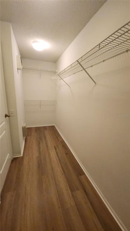 A narrow walk-in closet features wood-look flooring, white walls, and wire shelving — 12507 MIDPOINTE DRIVE, RIVERVIEW, FL