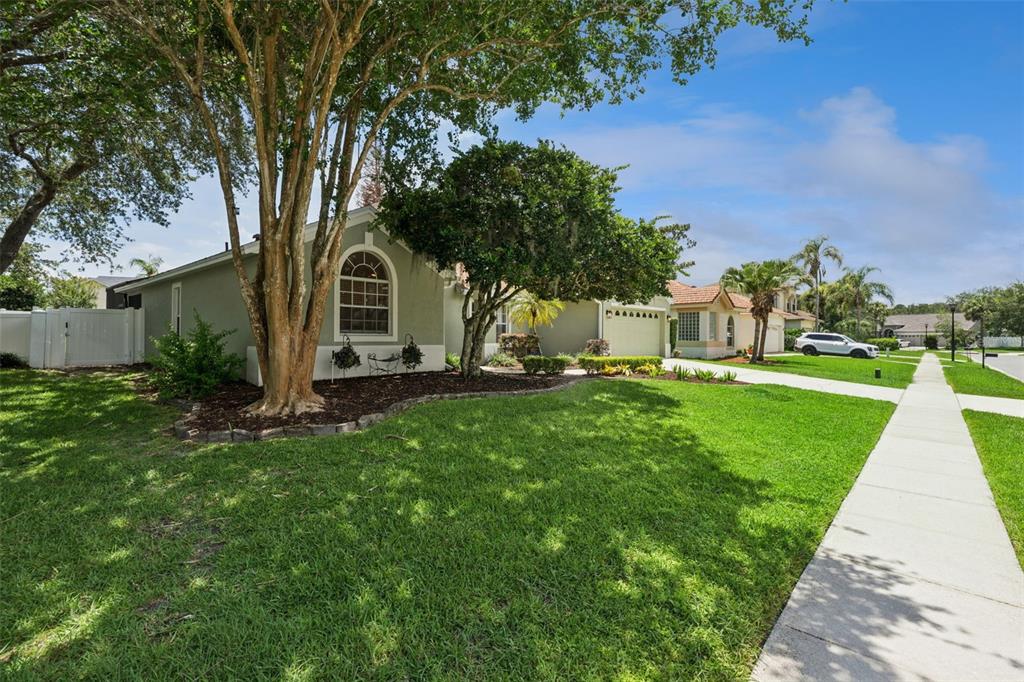A single-story house with a green exterior, arched window, and a large tree in front — 14975 FAVERSHAM CIRCLE, ORLANDO, FL