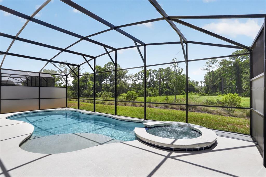 A screened-in swimming pool and hot tub overlook a grassy backyard and wooded area — 1242 BUTTERFLY ORCHID ROAD, DAVENPORT, FL