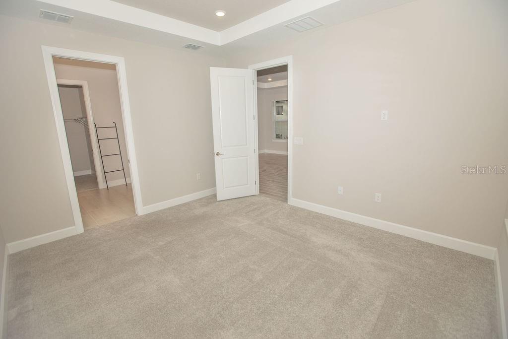 A bedroom with neutral walls, gray carpeting, a tray ceiling, and two open doorways — 4605 ROSATTI ROAD, WESLEY CHAPEL, FL