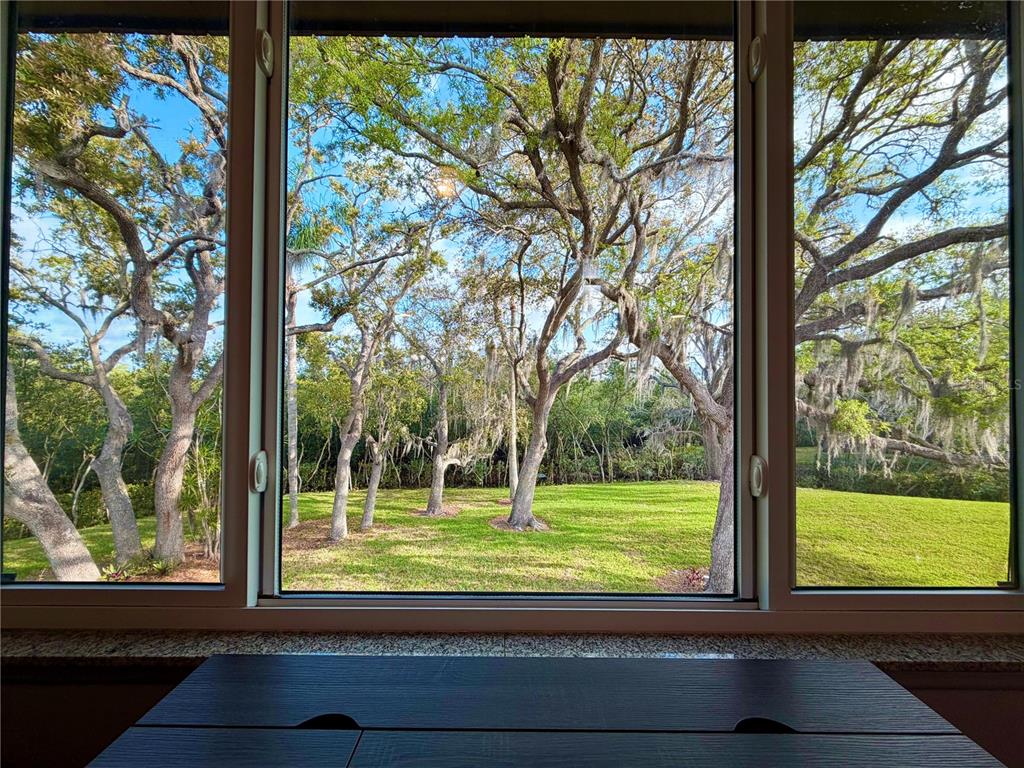A view of a grassy yard and trees through a large three-pane window — 4807 MARINE PARKWAY UNIT 202, NEW PORT RICHEY, FL
