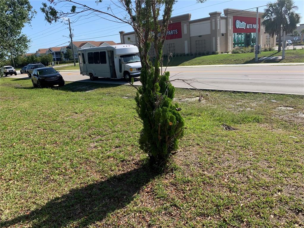 A small evergreen tree stands in a grassy area near a road with vehicles — 23540 PEACHLAND BOULEVARD, PORT CHARLOTTE, FL