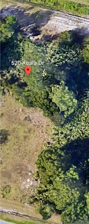 This is a satellite map view of a wooded lot with a red location pin — 520 KOALA DRIVE, KISSIMMEE, FL