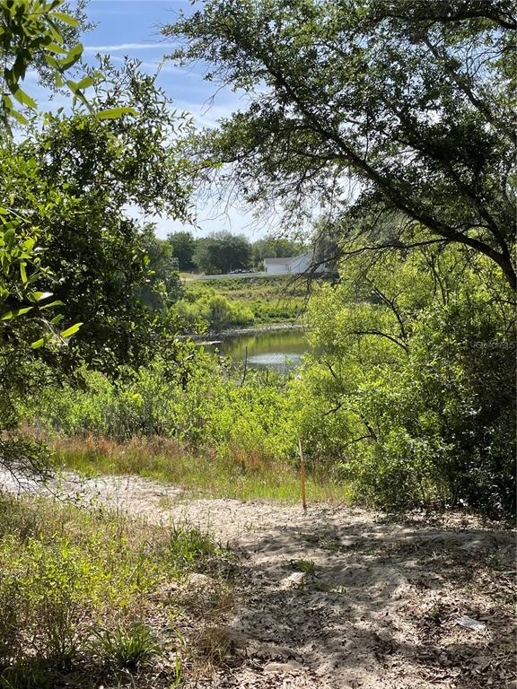 A sandy path leads through trees toward a small pond with a house in distance — REDBUD ROAD, LADY LAKE, FL