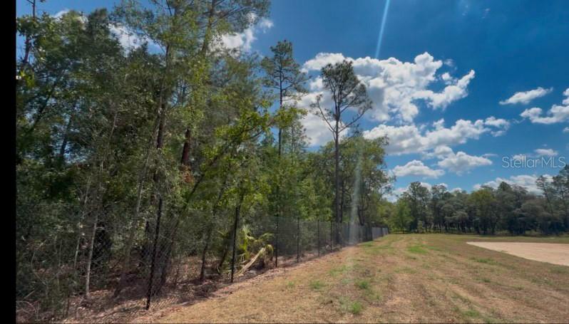 A chain-link fence separates a grassy field from a wooded area under a blue sky — 3476 N IGUANA PATH, CRYSTAL RIVER, FL