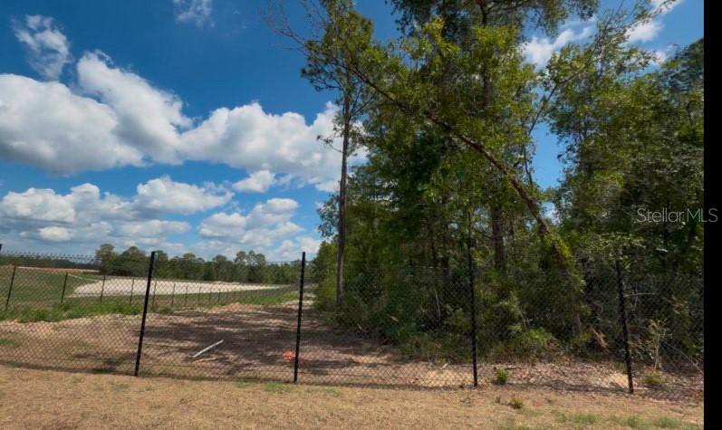 A chain-link fence separates a grassy foreground from a wooded area and a cleared lot — 3476 N IGUANA PATH, CRYSTAL RIVER, FL