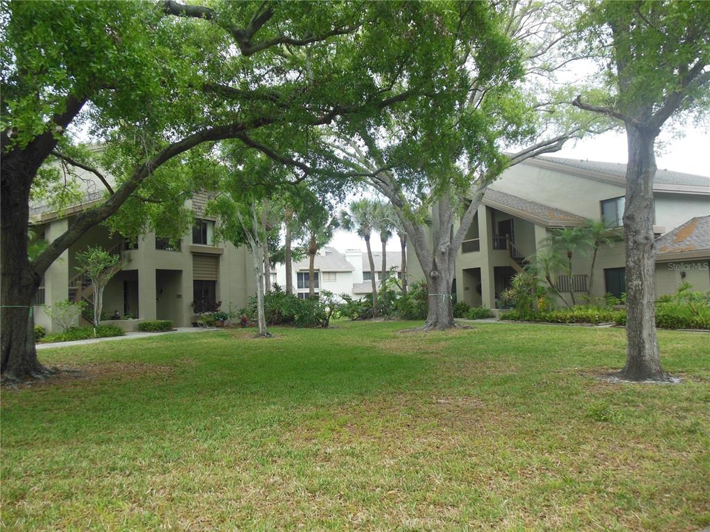 A grassy courtyard sits between two multi-story apartment buildings shaded by large oak trees — 3053 LANDMARK BOULEVARD UNIT 1107, PALM HARBOR, FL