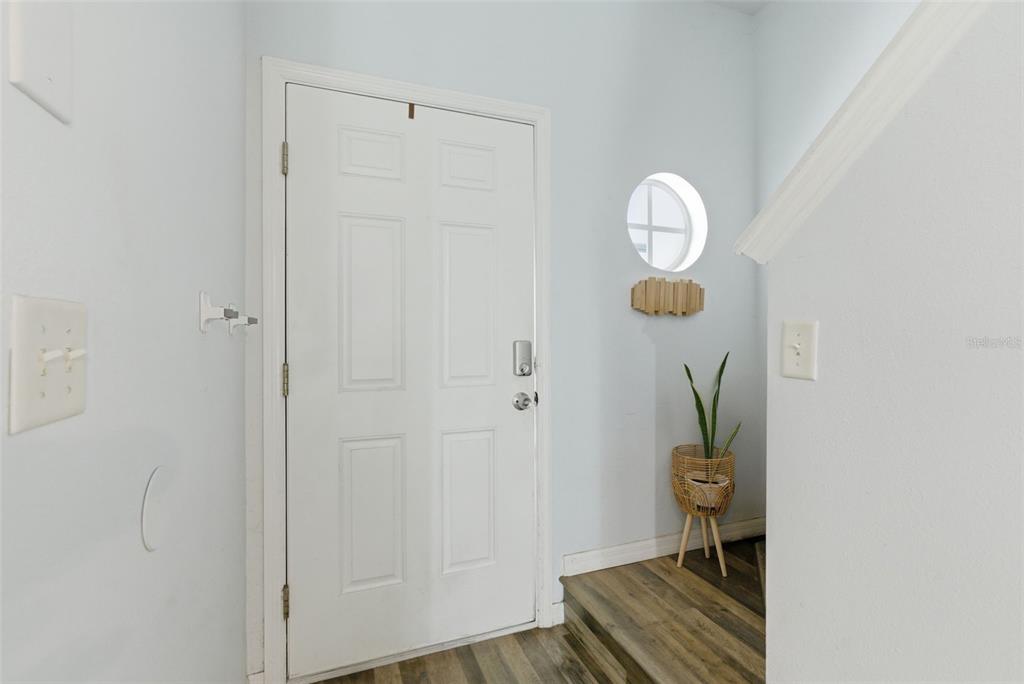 An entryway features a white door, a small round window, and a potted plant — 2049 FIESTA RIDGE COURT, TAMPA, FL