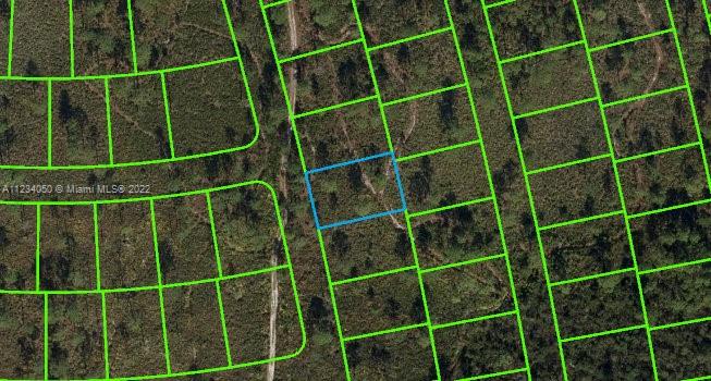 An aerial map view shows a highlighted rectangular plot of land surrounded by wooded lots — 4420 FETTUCCINE AVE, Sebring FL 33872, SEBRING, FL