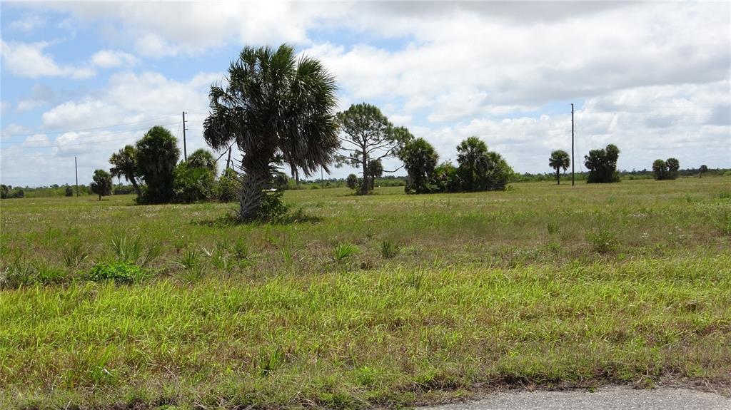 A grassy, open field features scattered palm trees and utility poles under a cloudy sky — 12100 ALBACORE WAY, PLACIDA, FL