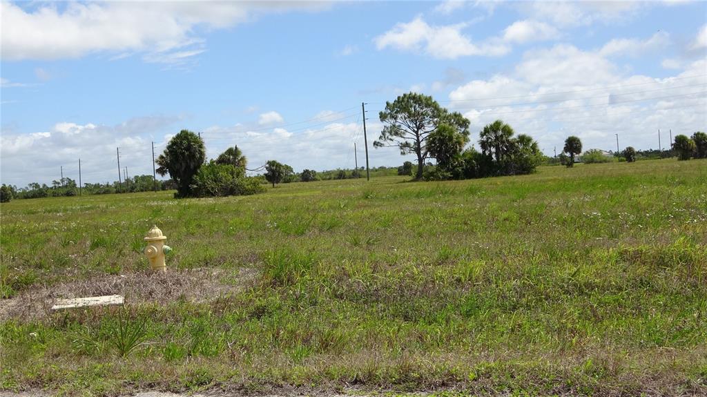 A yellow fire hydrant sits on a grassy, undeveloped lot under a cloudy sky — 12100 ALBACORE WAY, PLACIDA, FL