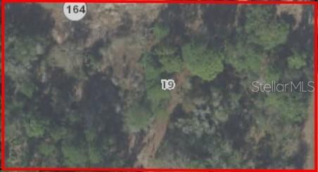 This is an aerial map view of a wooded plot of land labeled 19 — 10080 N MARIGOLD TERRACE, CRYSTAL RIVER, FL