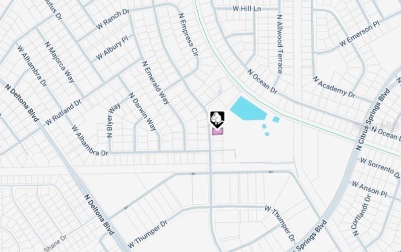 This is a map showing the location of a property in a residential neighborhood — 10061 N BISCAYNE DRIVE, CITRUS SPRINGS, FL