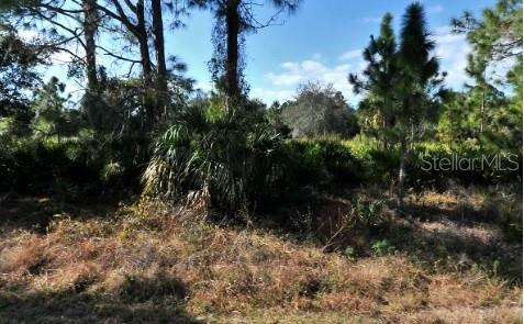 A wooded, undeveloped lot features tall pine trees and dense palmetto bushes under a blue sky — MATTOX CIRCLE, NORTH PORT, FL