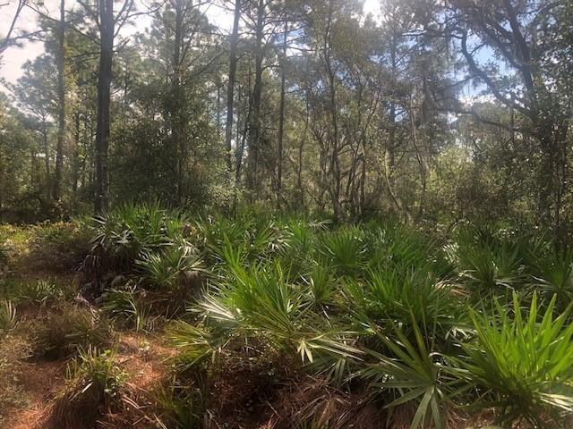 0 Old Grade Road, FL 33868, FL — photo 2 of 3