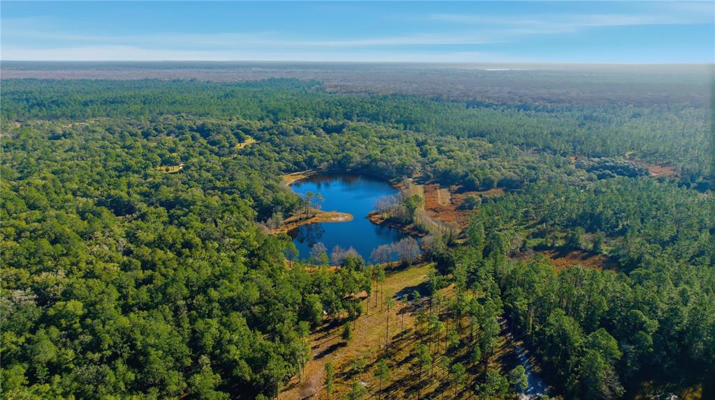 An aerial view shows a small, irregularly shaped pond surrounded by dense forest and trees — TBD (Lot 6) NE 115TH LANE ROAD, FORT MC COY, FL