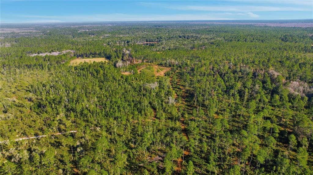 An aerial view shows a large, undeveloped plot of land covered with dense pine forests — TBD (Lot 6) NE 115TH LANE ROAD, FORT MC COY, FL
