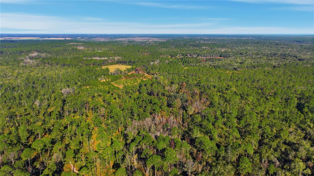 An aerial view shows a vast, wooded landscape with scattered clearings under a blue sky — TBD (Lot 6) NE 115TH LANE ROAD, FORT MC COY, FL