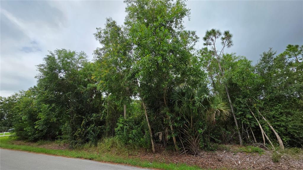12339 COGNAC DRIVE, PUNTA GORDA, FL — photo 3 of 3