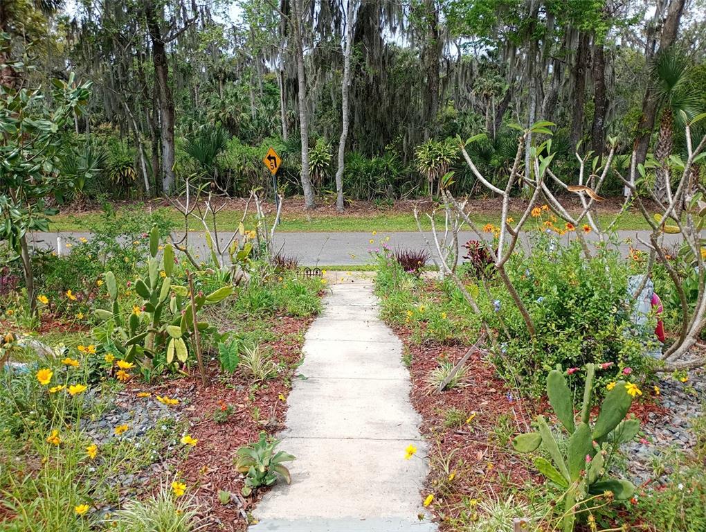 A concrete walkway leads to the front entrance of a house surrounded by lush landscaping — 109 FERN DRIVE, DEBARY, FL
