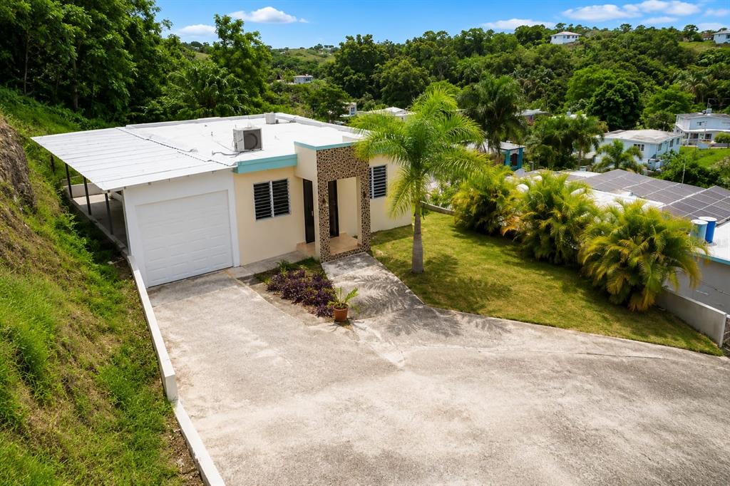 An exterior view of a single-story house with a concrete driveway and a palm tree — Carr 414 SECTOR LOS PUENTES, RINCON, PR