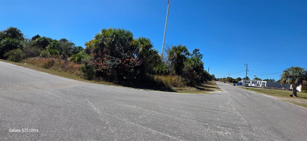 A corner lot with dense vegetation and palm trees sits at the intersection of two roads — FERDON AVENUE SW, PALM BAY, FL