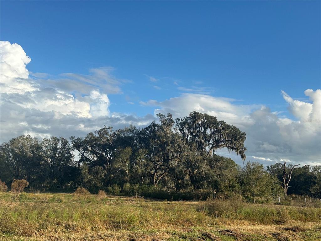 0 POLK ROAD, WAUCHULA, FL — photo 3 of 25