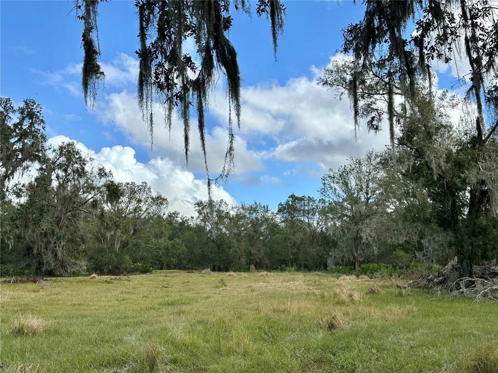 0 POLK ROAD, WAUCHULA, FL — photo 5 of 25