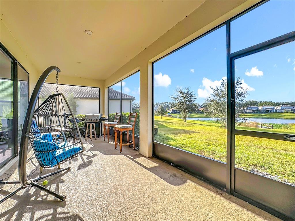 A screened-in patio features a hanging chair, outdoor grill, and views of a grassy pond — 3950 CARRICK BEND DRIVE, KISSIMMEE, FL