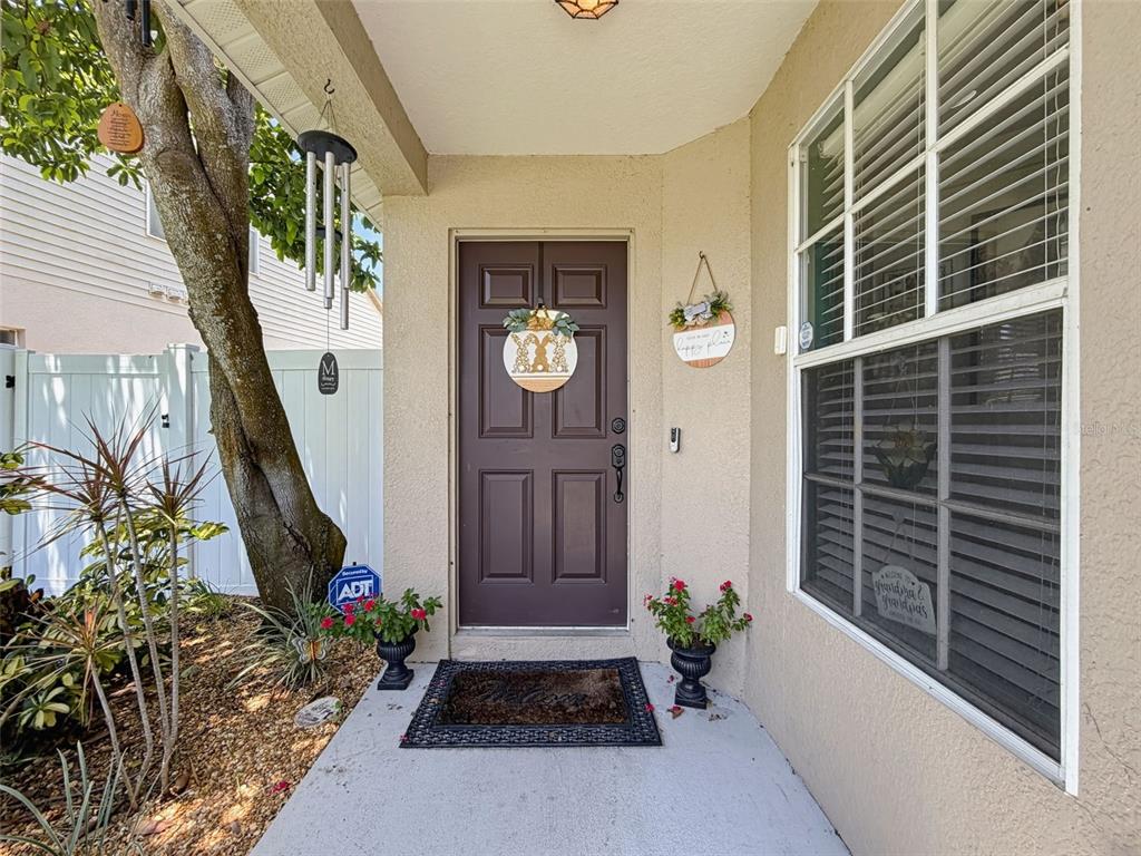 A front porch features a dark brown door, a window with blinds, and potted plants — 11627 LEDA LANE, NEW PORT RICHEY, FL