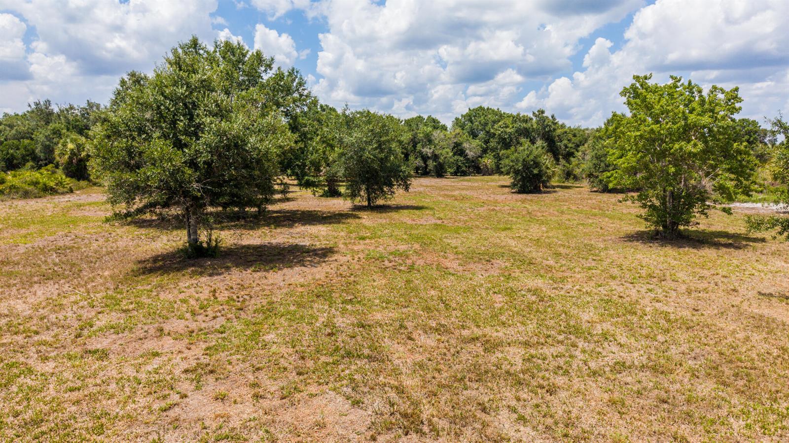 A grassy, sunlit field features scattered trees under a blue sky with white clouds — 19371 NW 254th Street, Okeechobee FL 34972, OKEECHOBEE, FL