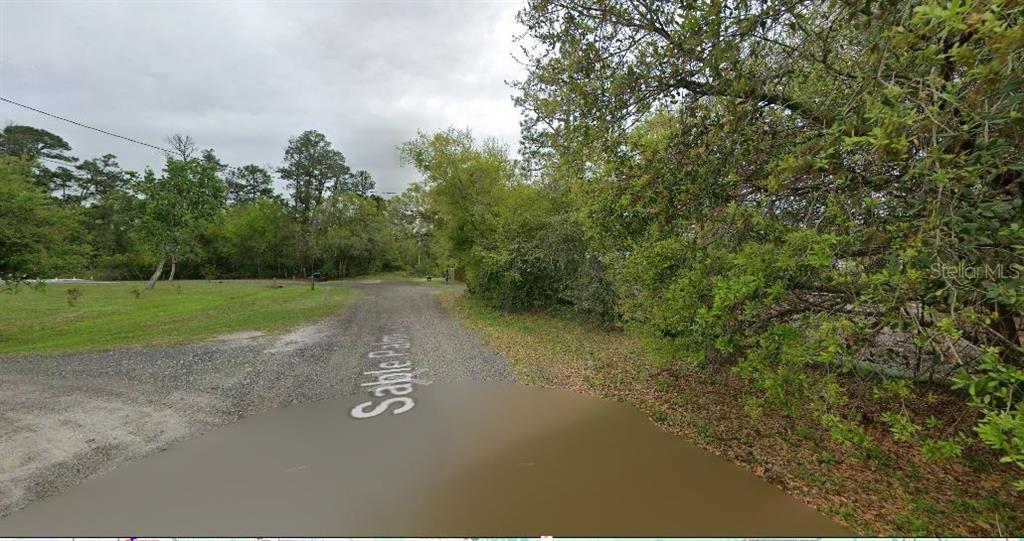 A gravel road leads into a wooded area with dense trees and green vegetation — 1039 SABLE PALM DRIVE, CHRISTMAS, FL