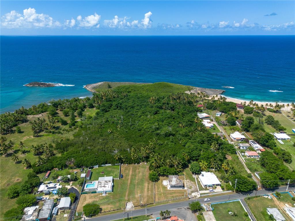 An aerial view shows a coastal property with a large wooded area and nearby houses — Carr 681 Km 4.5 BO.ISLOTE, ARECIBO, PR