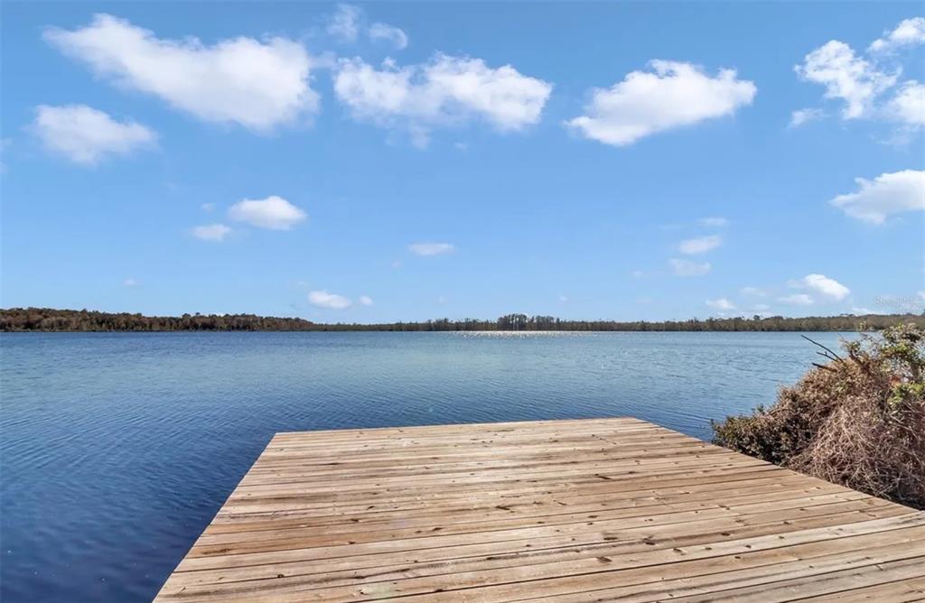 A wooden dock extends into a calm lake under a blue sky with scattered clouds — 17830 NE 49TH STREET ROAD, SILVER SPRINGS, FL
