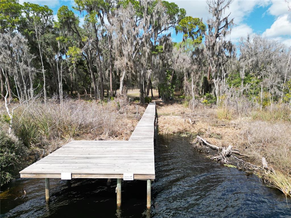A wooden dock extends from a grassy shoreline into a lake surrounded by mossy trees — 17830 NE 49TH STREET ROAD, SILVER SPRINGS, FL