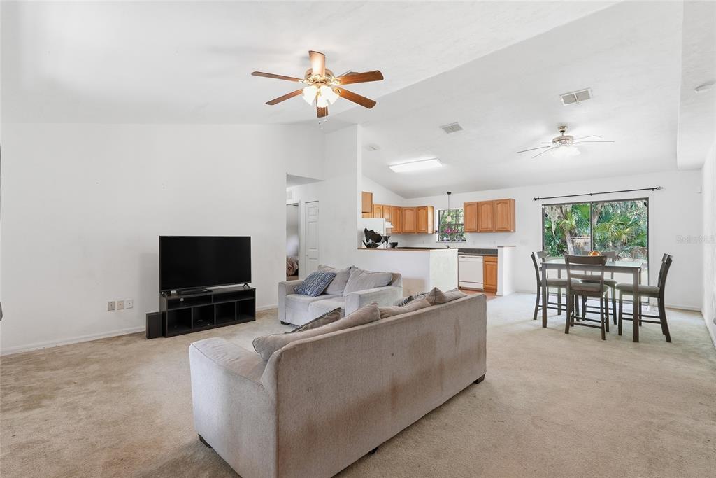 A living room with beige carpet, a television, two sofas, and an open-concept kitchen — 173 LITTLE ORANGE LAKE DRIVE, HAWTHORNE, FL