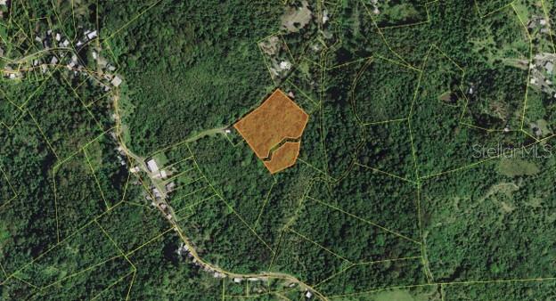 An aerial map view shows a highlighted plot of land surrounded by dense forest — PR-853 INTERIOR CACAO WARD LOT 7, CAROLINA, PR