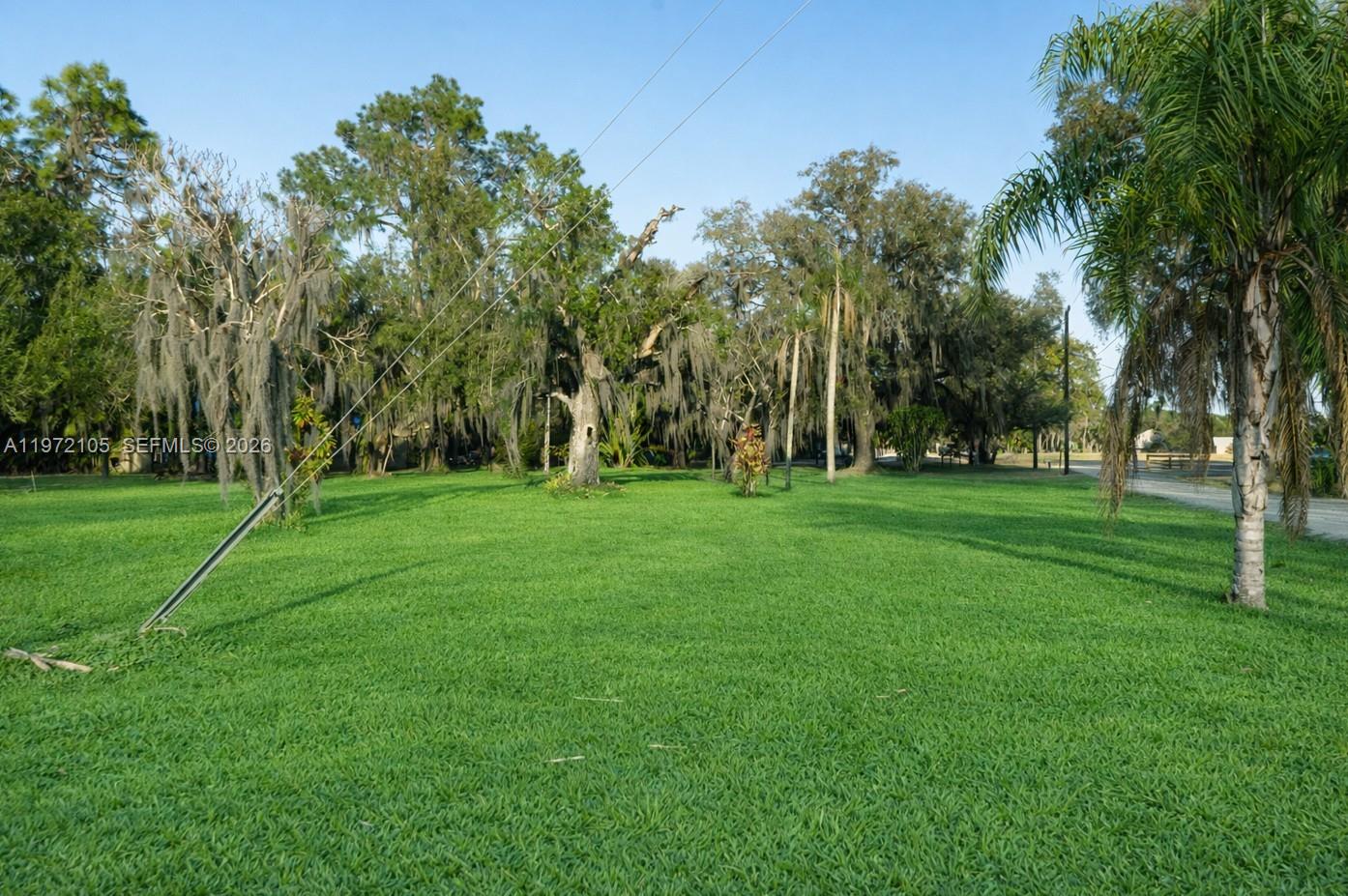 A large, grassy lawn is surrounded by mature trees with Spanish moss — 2014 Ft Denaud Rd, La Belle FL 33935, LA BELLE, FL