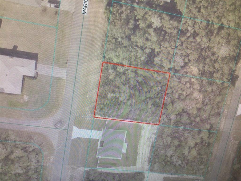 This is an aerial map showing a vacant, wooded lot outlined in red — MARION OAKS DRIVE, OCALA, FL
