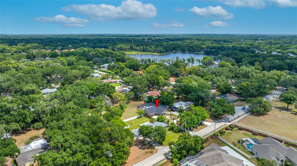 An aerial view shows a residential house with a red arrow pointing to its roof — 15314 LAKE MAGDALENE BOULEVARD, TAMPA, FL