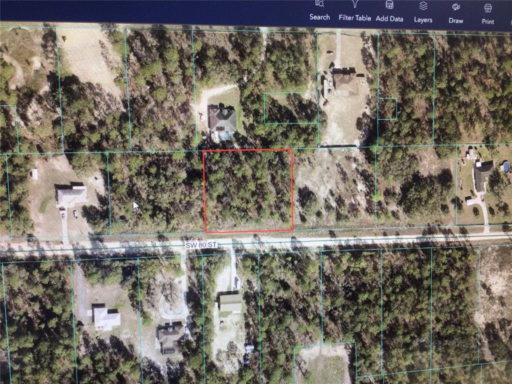 An aerial map view shows a rectangular, wooded vacant lot outlined in red — 0 80 STREET, DUNNELLON, FL