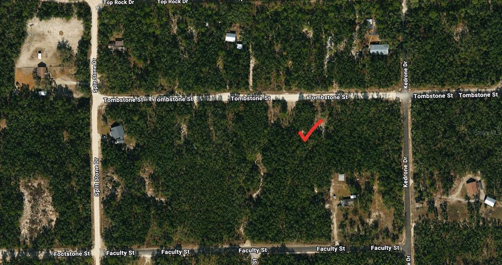 This is an aerial map showing a wooded lot marked with a red checkmark — 33240 TOMBSTONE STREET, WEBSTER, FL