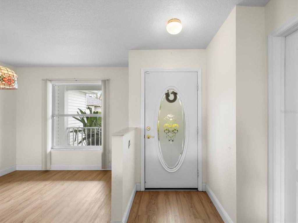 An entryway features light wood-look flooring, a white front door with a decorative oval window — 29146 PRINCEVILLE DRIVE, SAN ANTONIO, FL