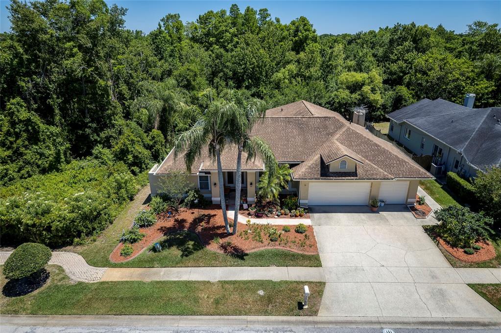 An aerial view shows a single-story house with a three-car garage and palm trees — 22754 MAGNOLIA TRACE BOULEVARD, LUTZ, FL