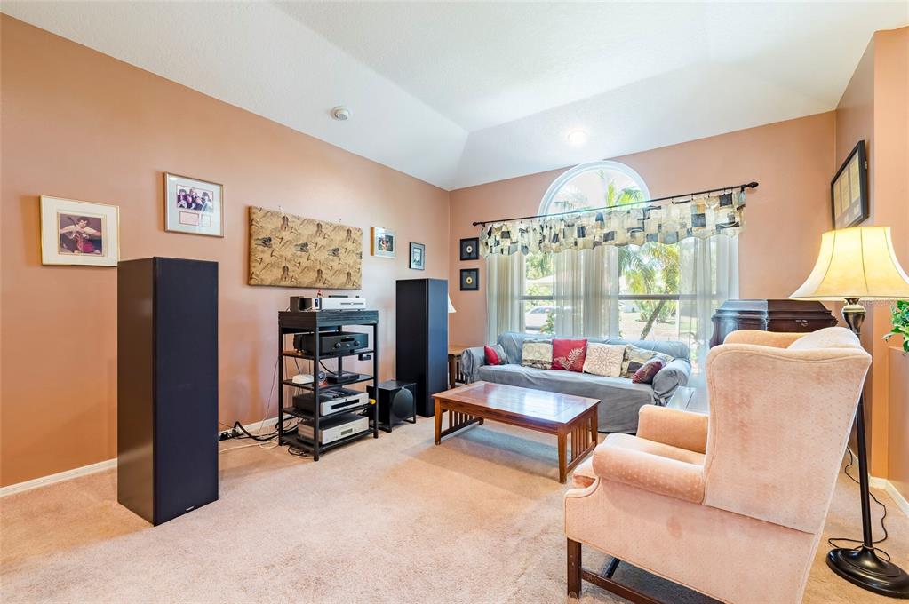 A living room features peach walls, carpeted flooring, a large window, and an audio system — 22754 MAGNOLIA TRACE BOULEVARD, LUTZ, FL