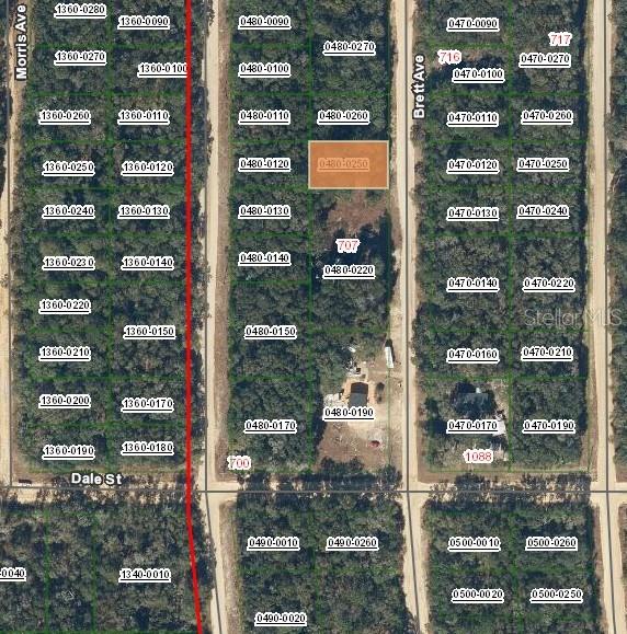 This is an aerial map showing property parcel boundaries and lot numbers in a wooded area — 713 BRETT AVENUE, INTERLACHEN, FL