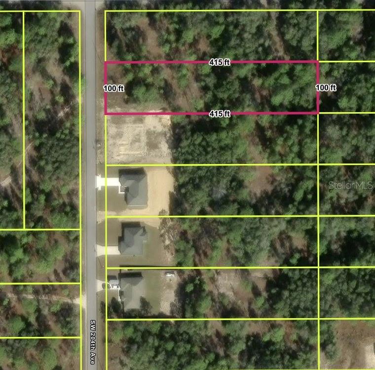 This is an aerial map showing a rectangular plot of land highlighted in pink — SW 204 TH AVE, DUNNELLON, FL